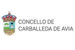 consello_de_carballeda_de_avia